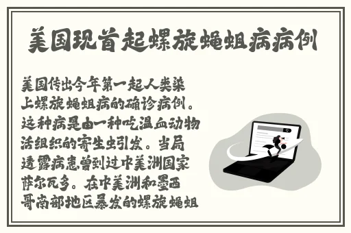 梦幻模拟战2