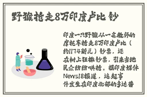 ねぇしよ动漫在线观看